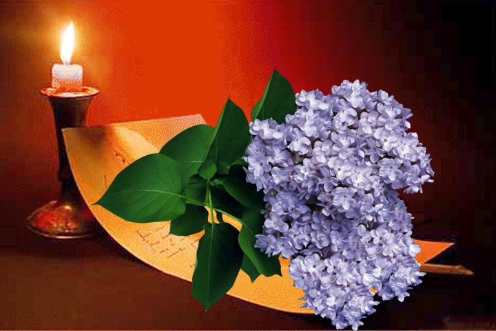 Седьмое чувство – интуиции разгон (АКРОСТИХ)