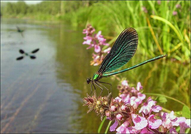 Не найти мне тот день...
