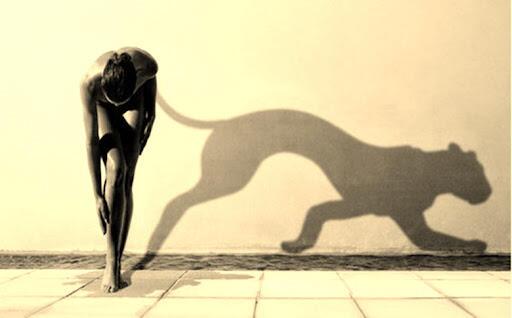 Тень скользит по стене