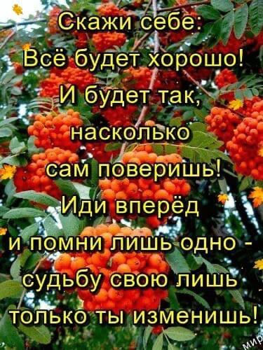 Выше голову