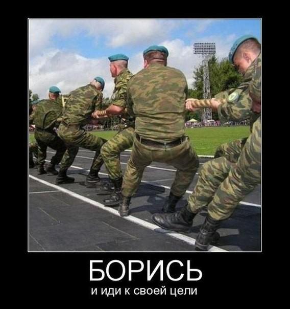 На злобу дня