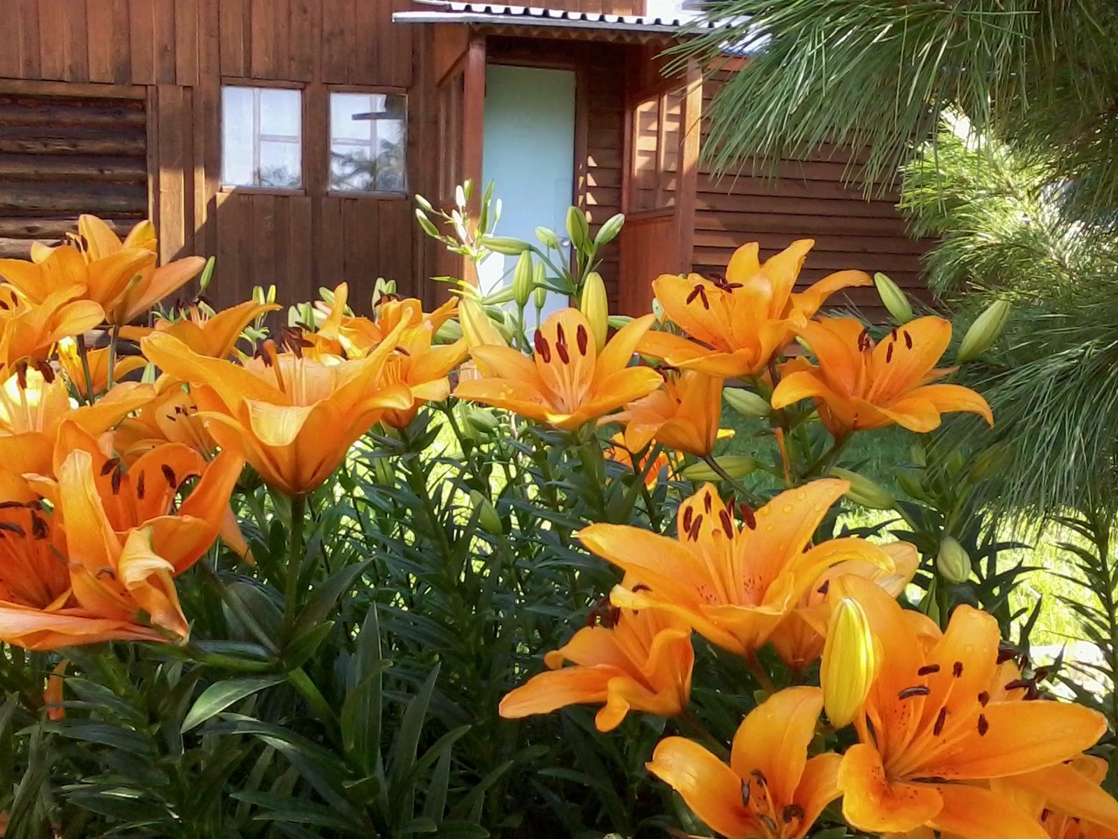 Дорогой в рай