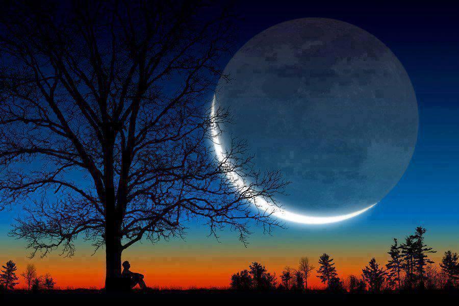 Я осягаю і форму, і суть