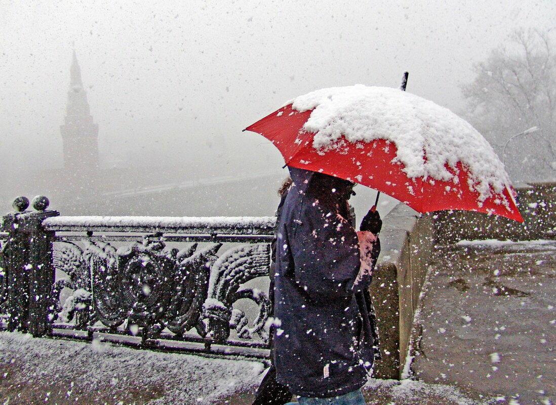 Ответ поэту - лотышев алексей