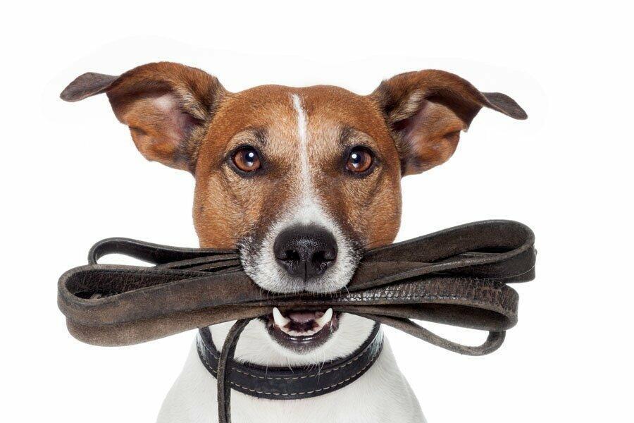 ❤️ ПРОСНУЛСЯ ГОРОД