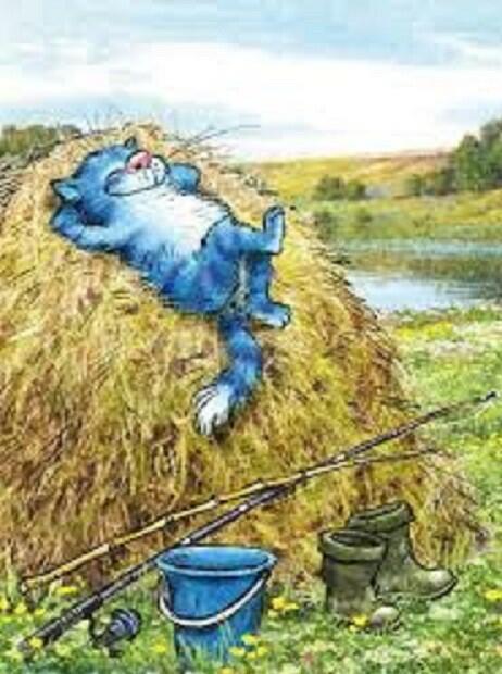 Stanzas–455: «Не печалься, Судьба моя»