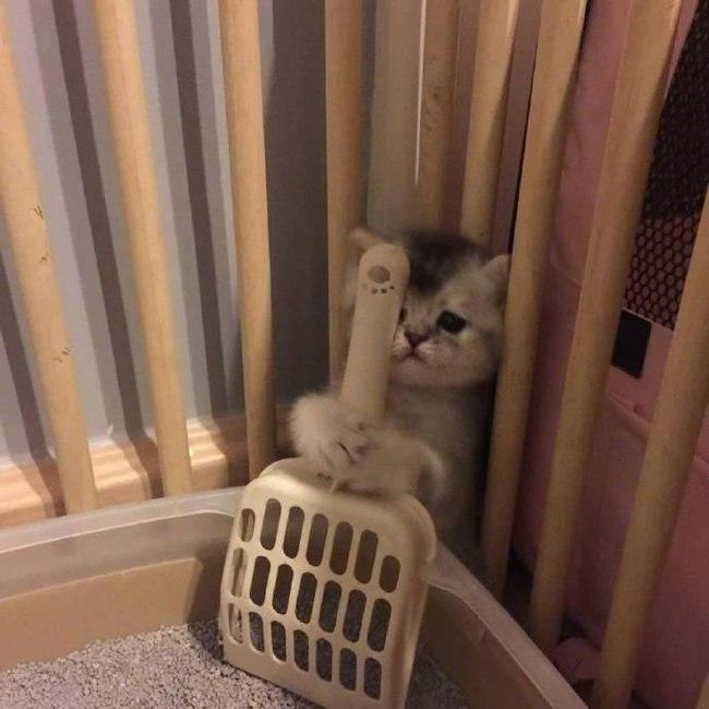 Я - человек!