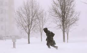 Веду борьбу с метелью