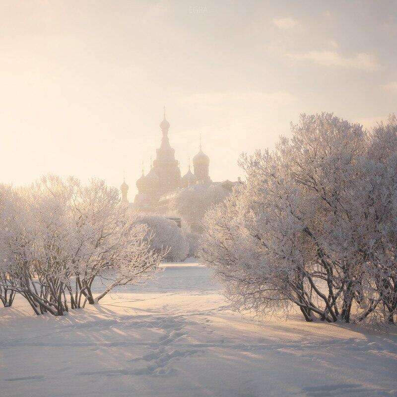 "Стало всё белым-бело..." (14.12.2020)