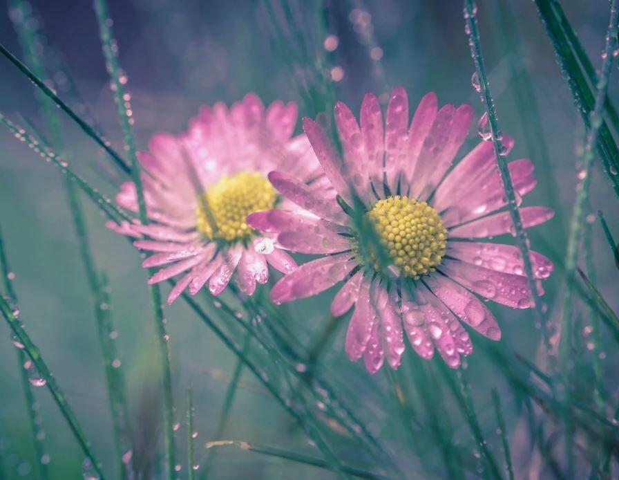 ВСЯ ЖИЗНЬ-ПУСТЯК..