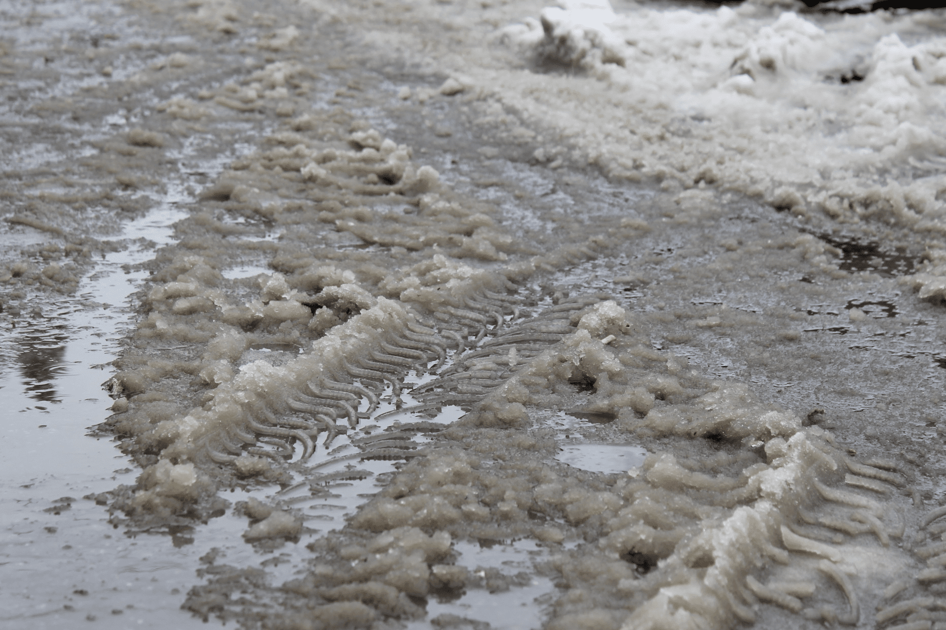 Зиму бросает