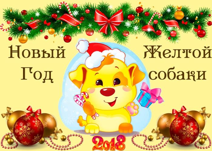 Здравствуй, год 2018!