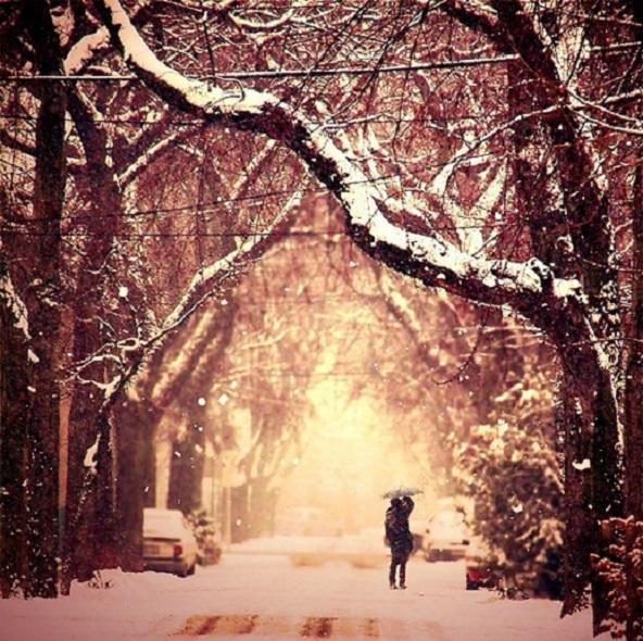 "Вот бы встретить тебя..." (02.11.2016)