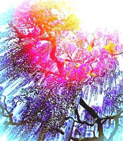 Где-то рядом