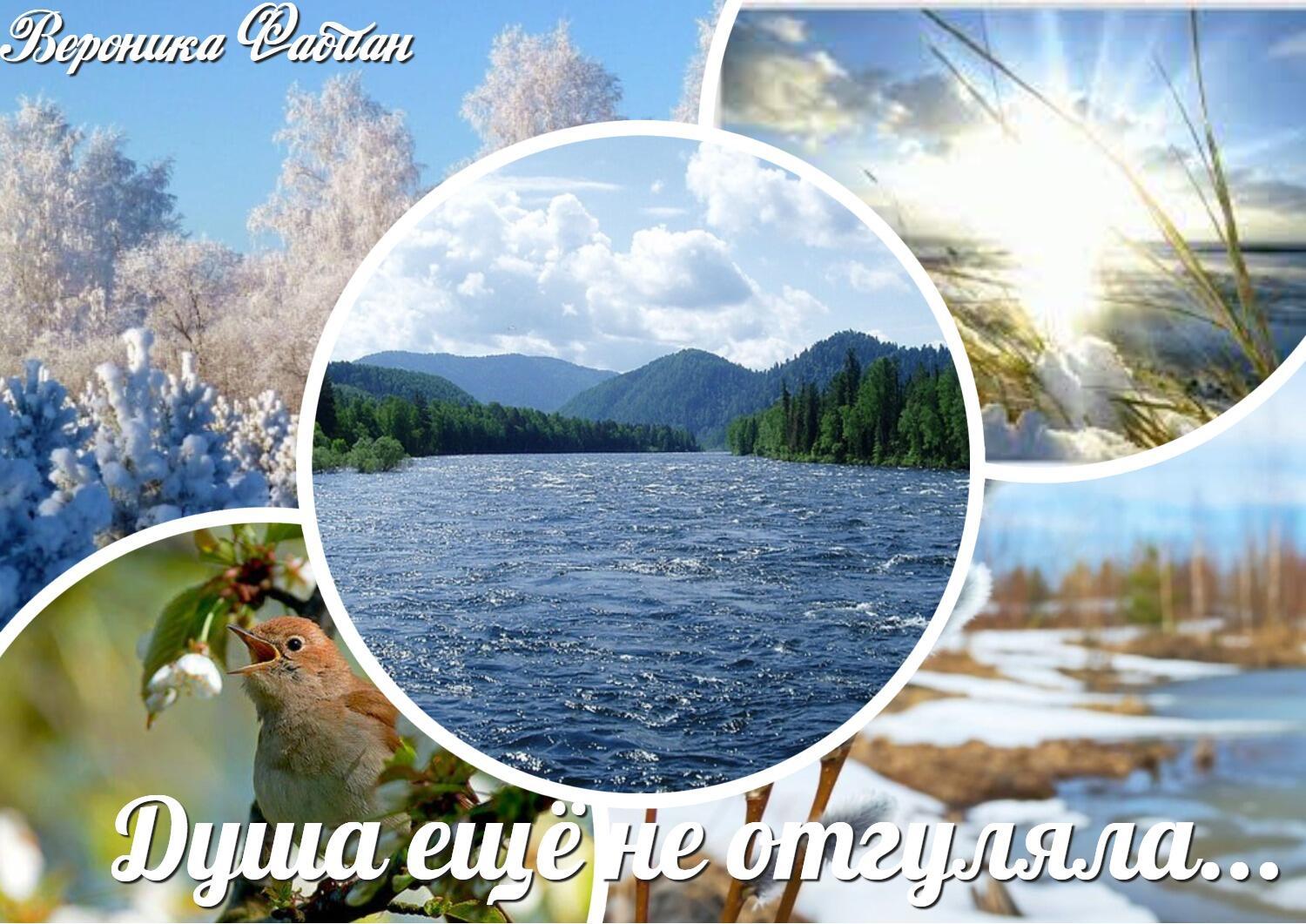 Душа ещё не отгуляла...