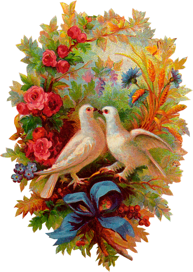 Н. Шапошникова  Знаю я