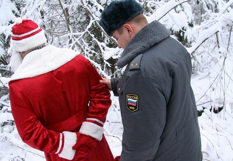 Ответ поэту - Медведь Белый - НАДО ВЕРИТЬ В ЧУДЕСА