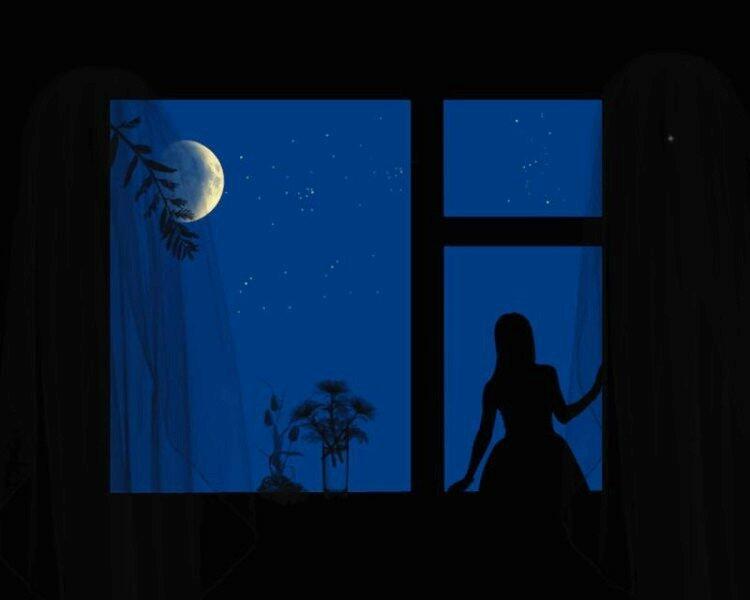 Лунный свет бессонницей отмечен