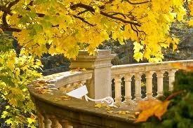 Осенние листья