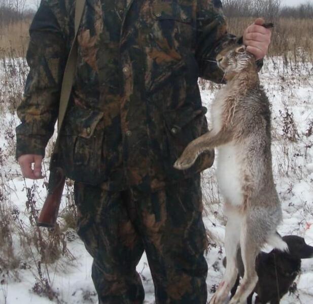 Кожа, шкуры и охота