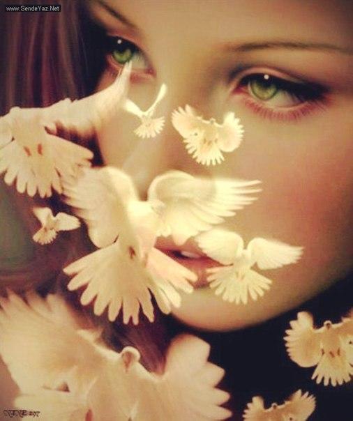 ЗЕМНЫЕ ПТИЦЫ