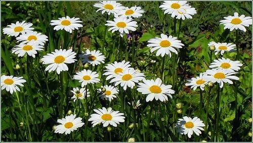 Прохладный день