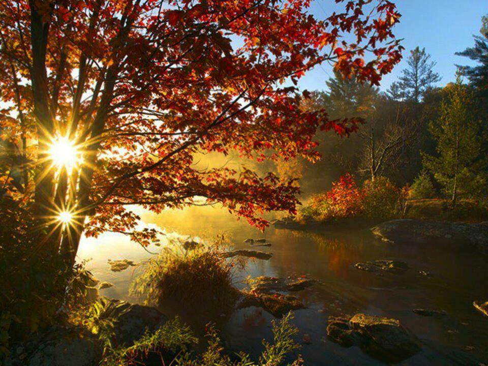 Дождик мелкий устал