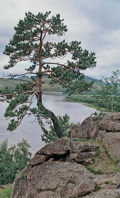 родилась я в России