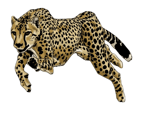 Гепард [Африка]