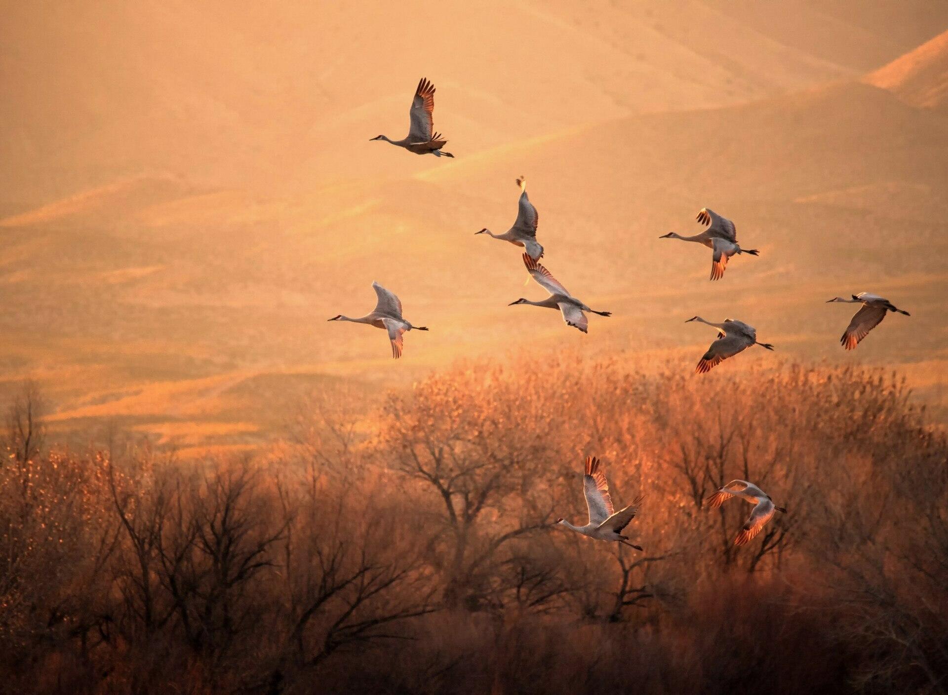 И МУЗА РЯДОМ!