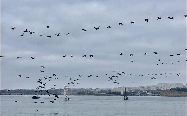 Предвкушение