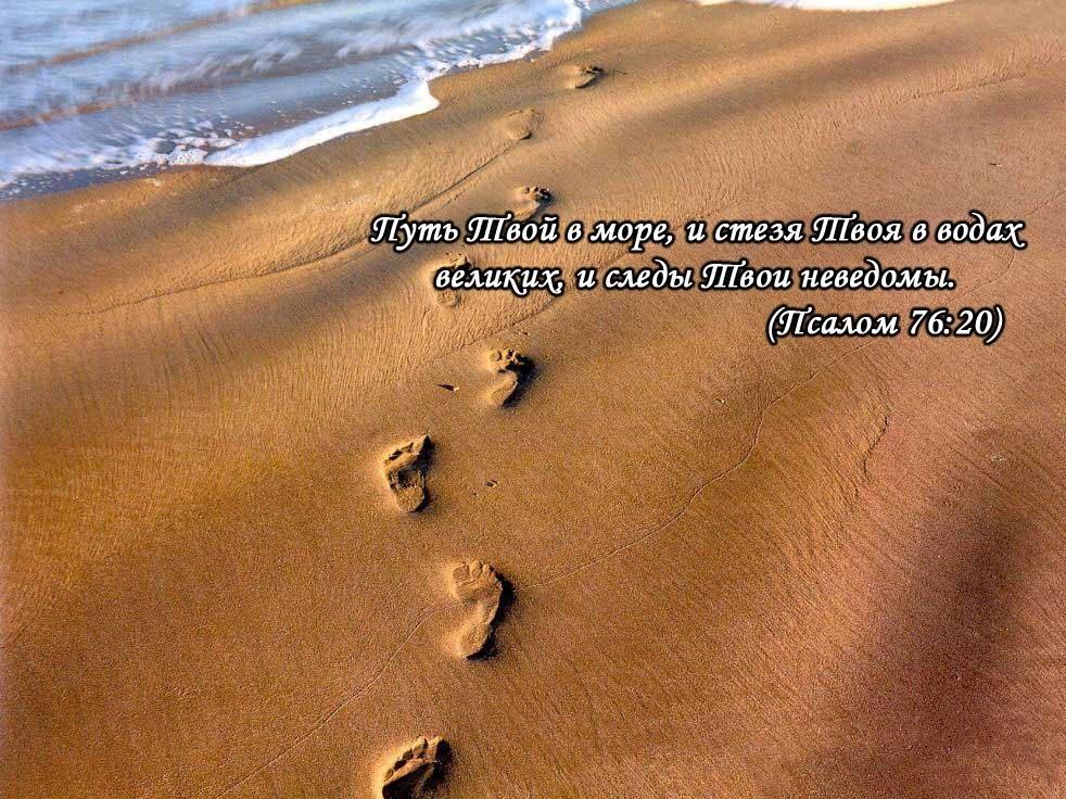 Межу вдовицы укрепляет Бог