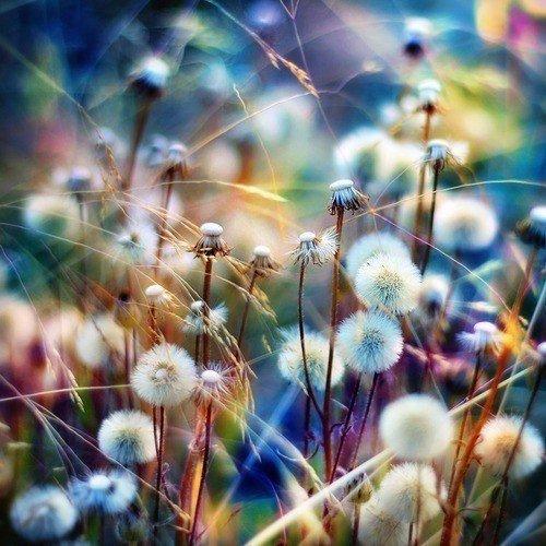 Верим в чудо