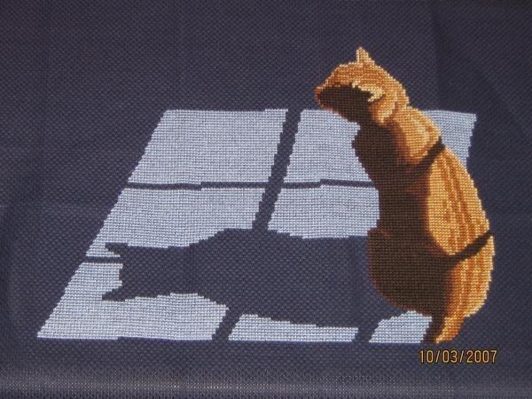 Кошка и тень