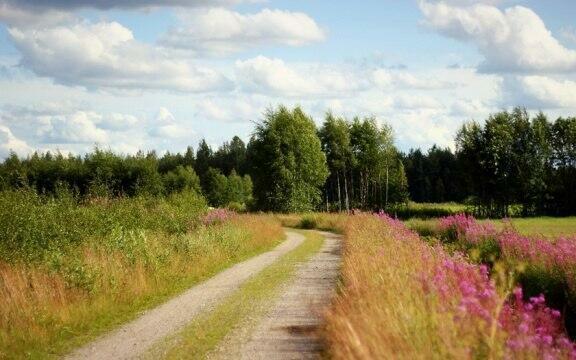 Жукова Надежда  ГОРОДСКАЯ ПРОПИСКА В ПАСПОРТЕ   декламация