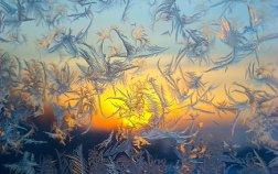 ЖЕЛТЫЙ МЕСЯЦ