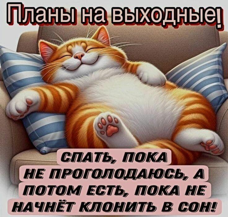 ЗАВТРА ВЫХОДНОЙ (шуточное)