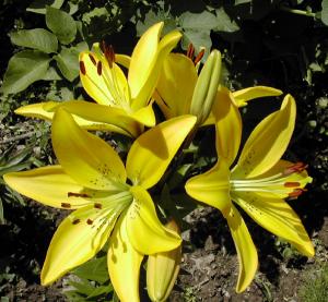 А мы с тобой в Париже не бывали