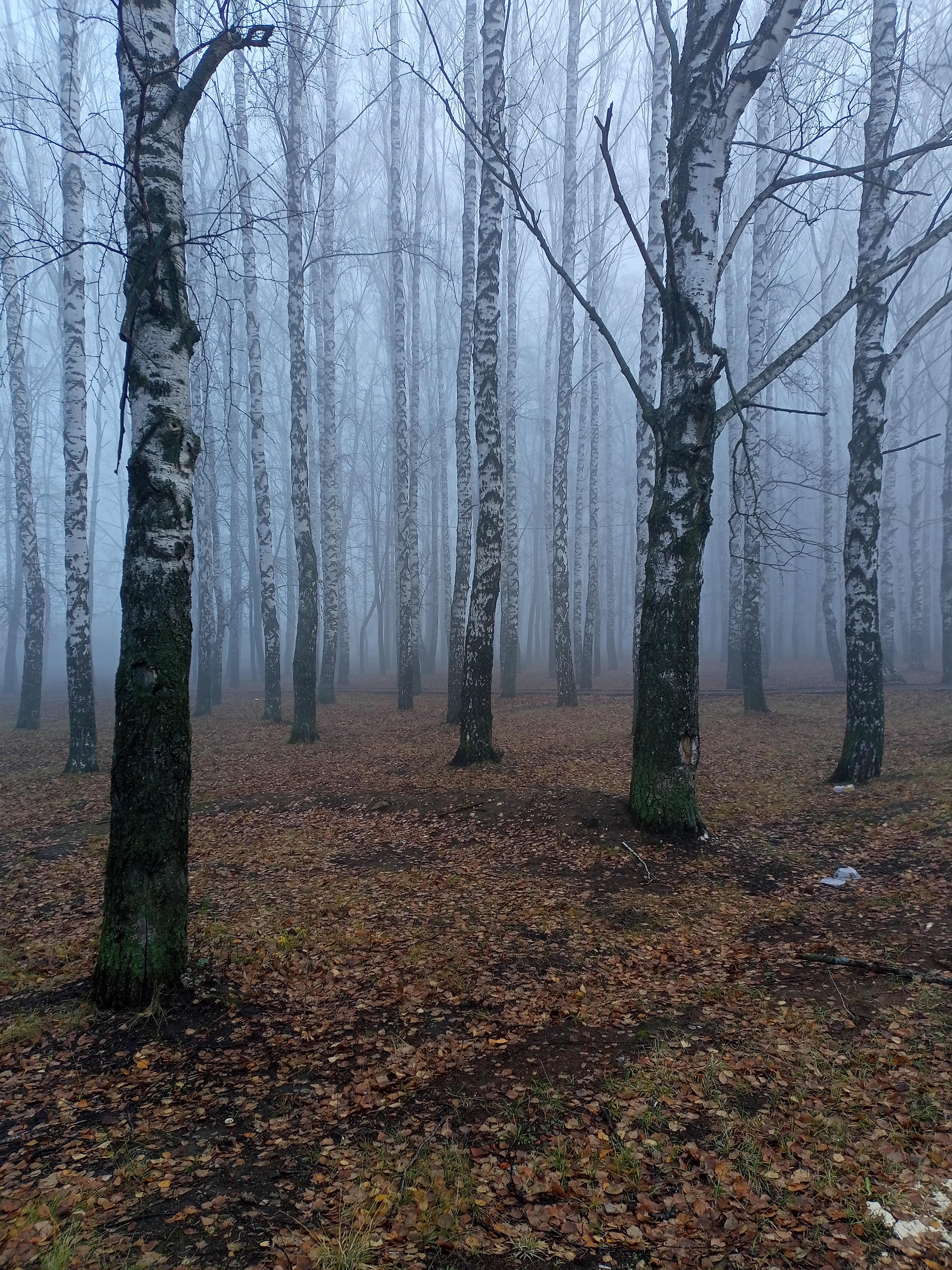 Дженерейшн