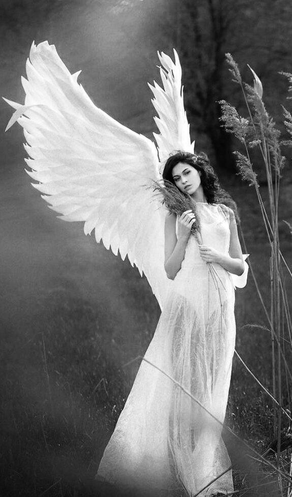 Я во сне приду к тебе. 10.1.06-19.2.26