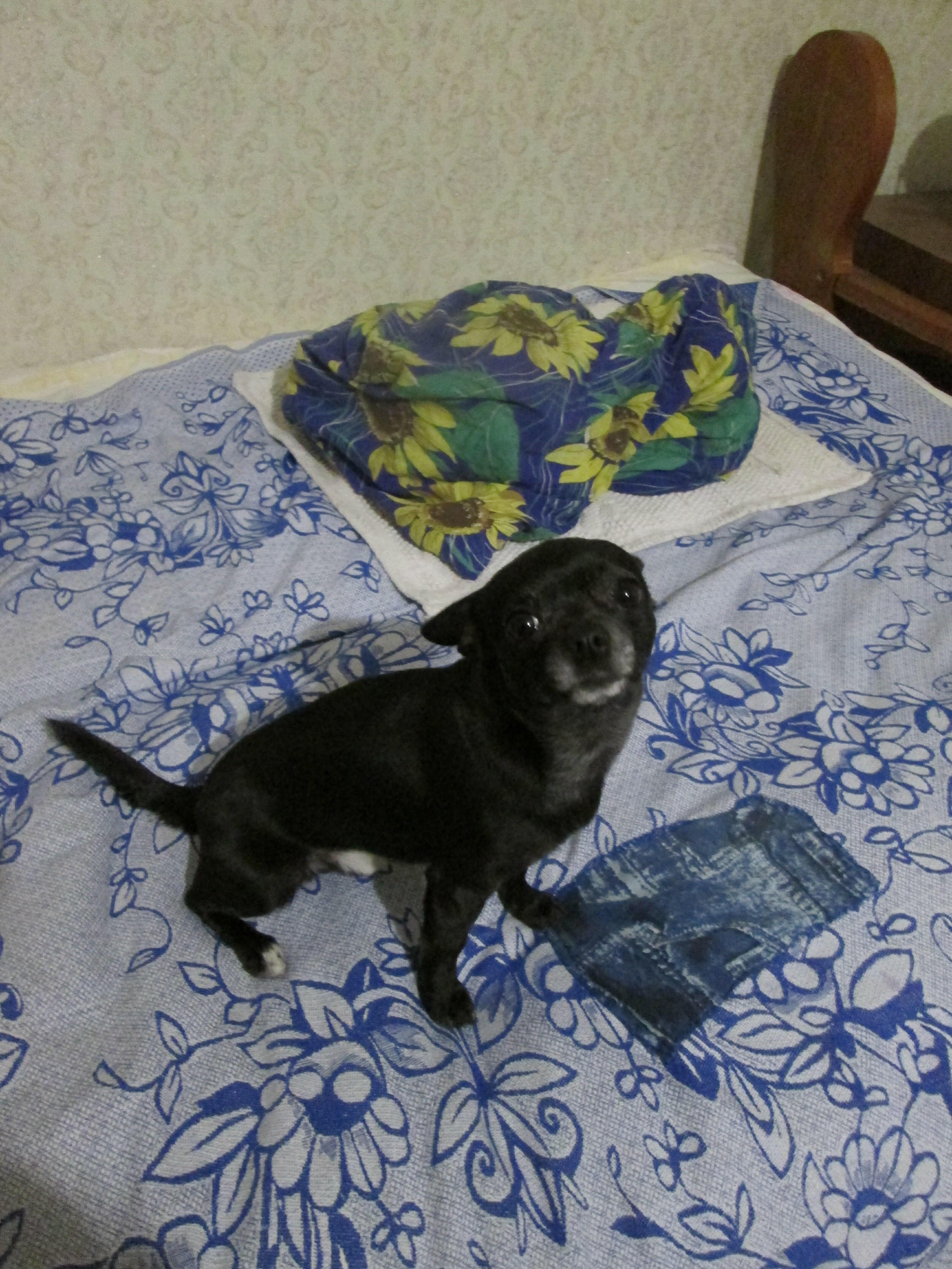 ВСТРЕЧА