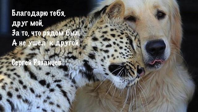 Благодарю тебя.