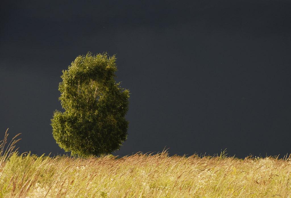 Ты как земля перед  грозой ...