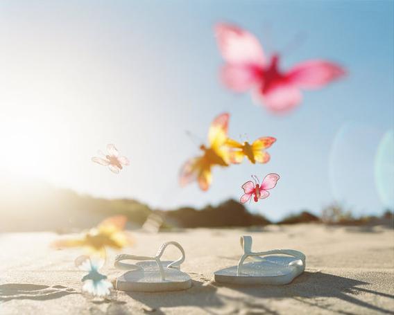 Здравствуй, солнечное лето!