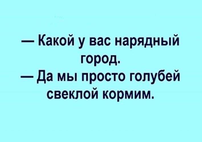 Я и голуби. ДвуХстишье