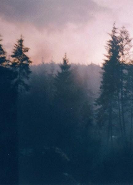 Все пройдет