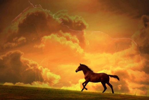 РАССВЕТ ЗАРИ