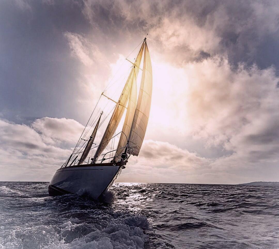 ПРАЗДНИК ЖИЗНИ