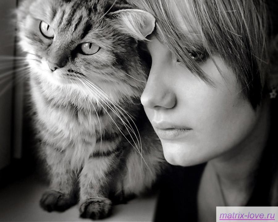 мы с котом...