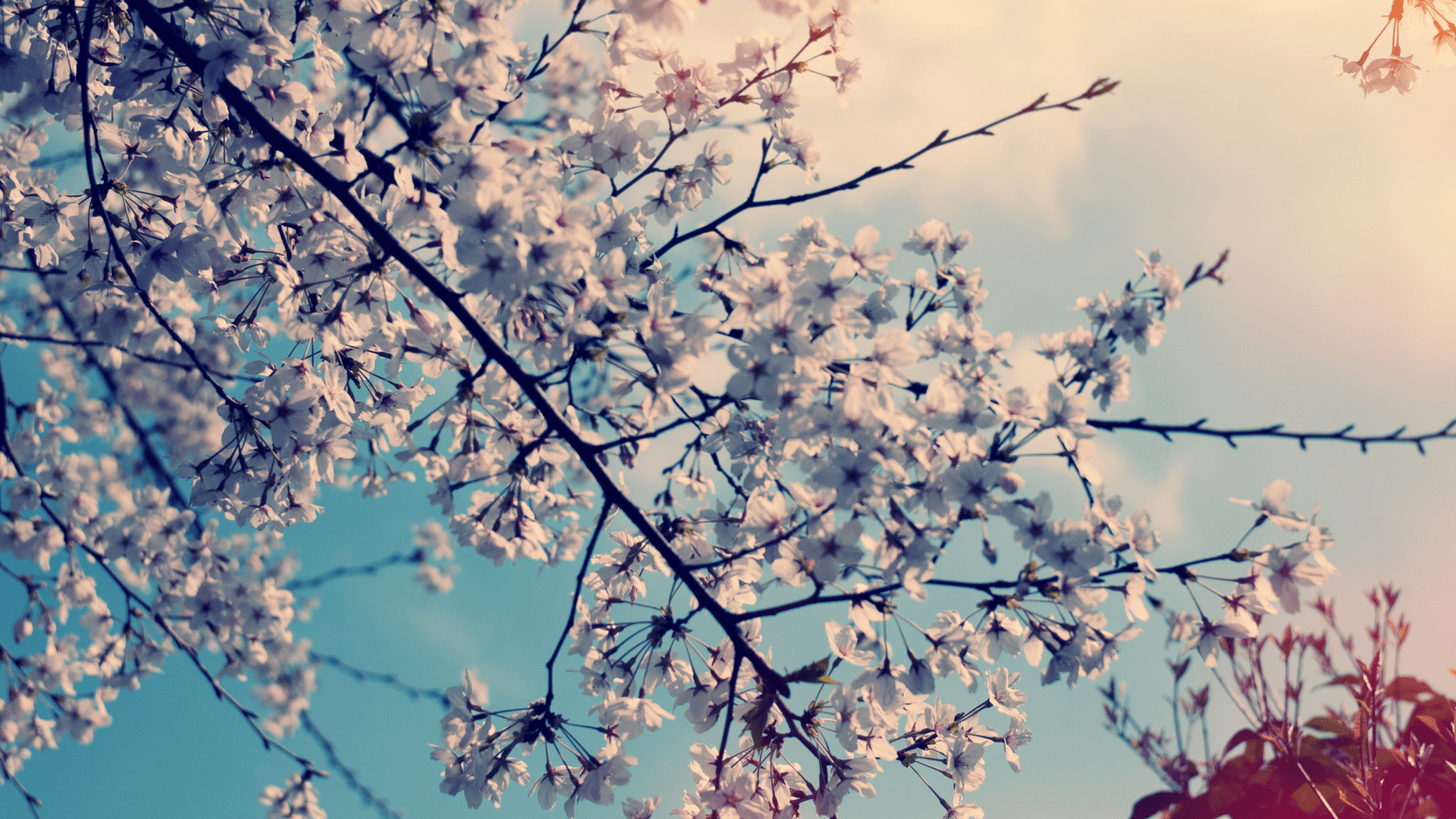 Придет весна